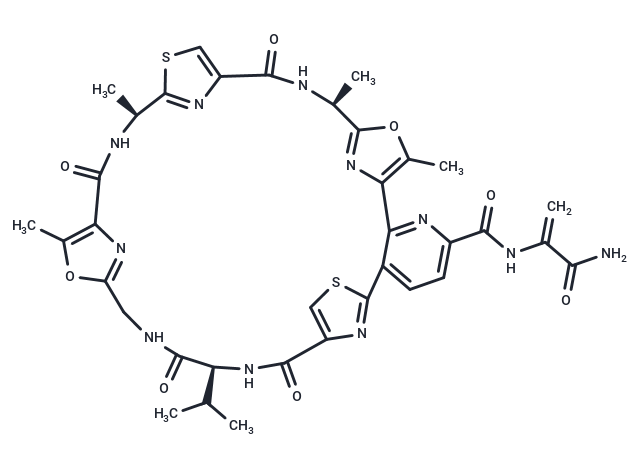 Promothiocin A