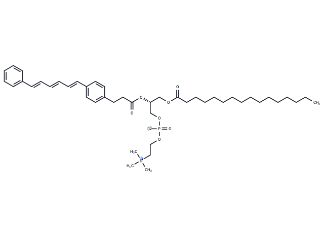 1-Palmitoyl-2-[3-(diphenylhexatriene)propanoyl]-sn-phosphatidylcholine