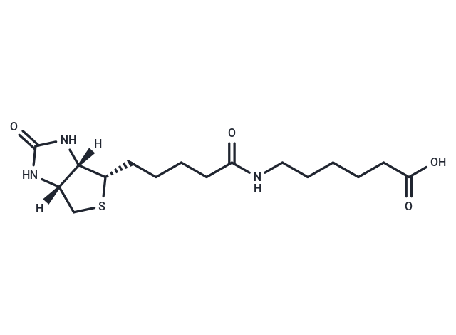 N-Biotinyl-6-aminohexanoic acid