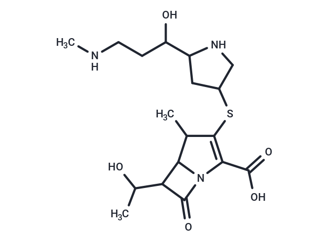 Lenapenem