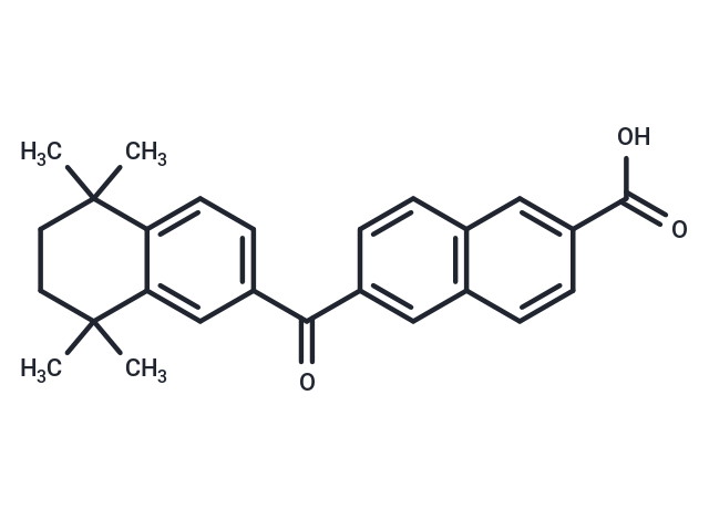 CD564