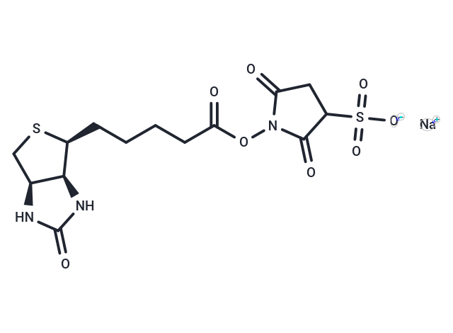 Sulfo-NHS-Biotin