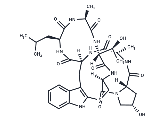 Leu-phalloidin