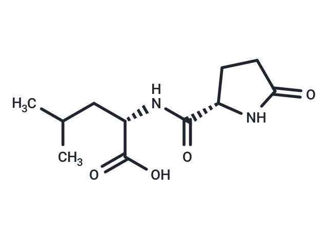 Pyroglutamylleucine