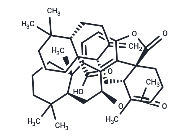 Hispidanin B