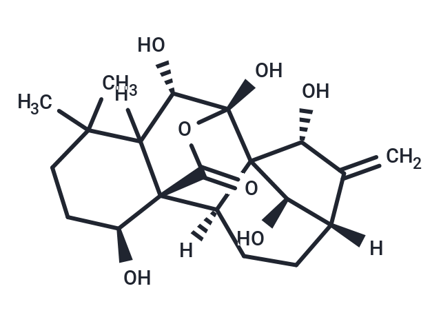 Rabdoternin B