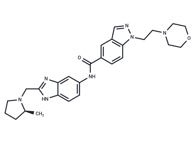 Eleven-Nineteen-Leukemia Protein IN-1