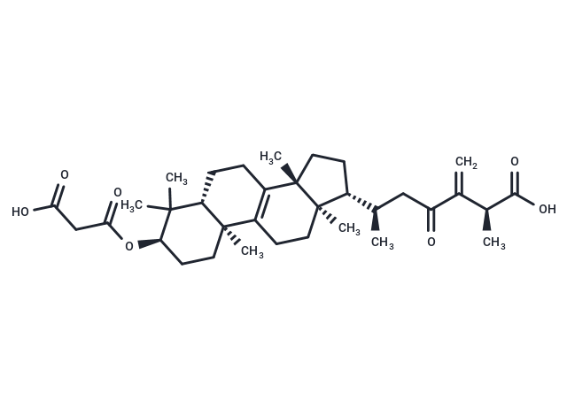 24(31)-Dehydrocarboxyacetylquercinic acid