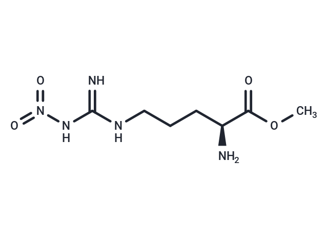 NG-Nitroarginine methyl ester