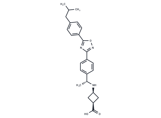 PF-462991