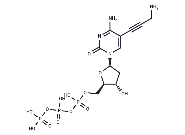 5-Propargylamino-dCTP