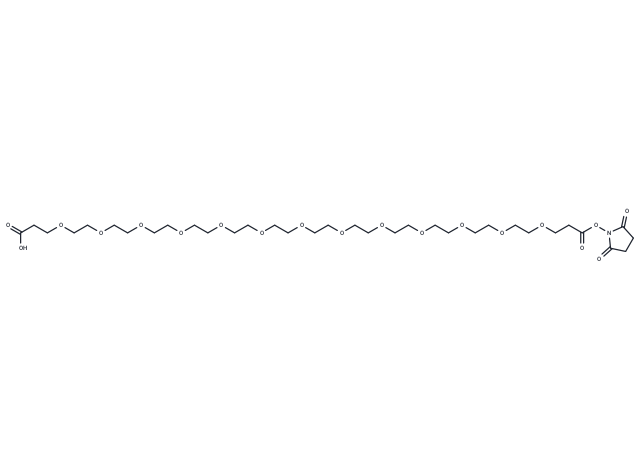 Acid-PEG13-NHS ester