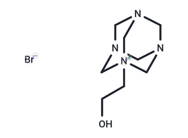 Y 11