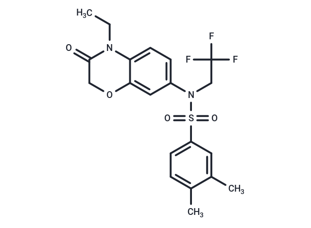 BIO592