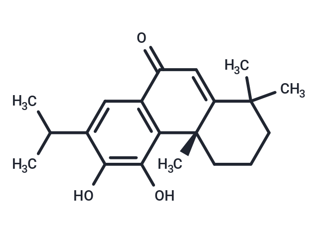 Salvinolone