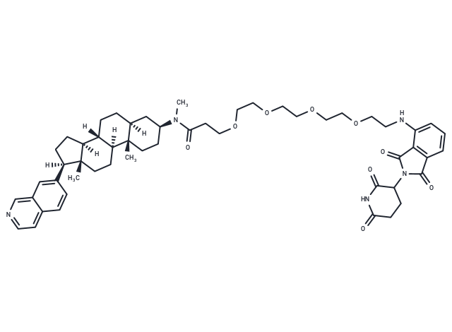 JH-XI-10-02