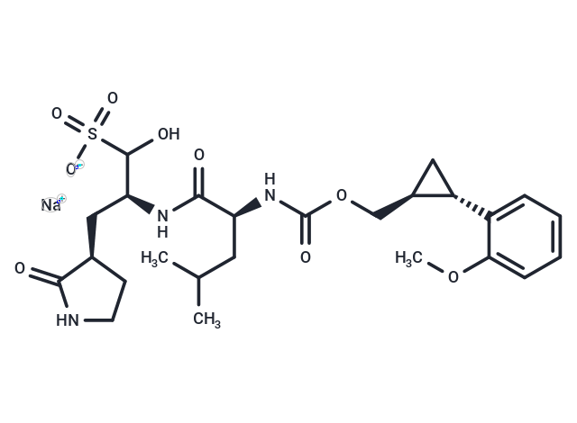 SARS-CoV-2 3CLpro-IN-11