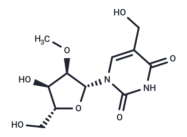 2’-O-Methyl-5-hydroxymethyluridine