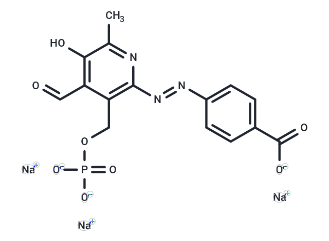 FOBISIN101