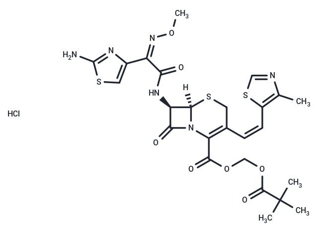 Cefditoren Pivoxil HCl