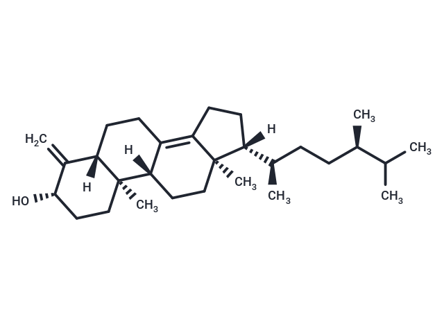 Conicasterol