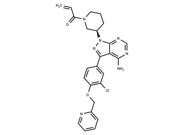 CHMFL-EGFR-202