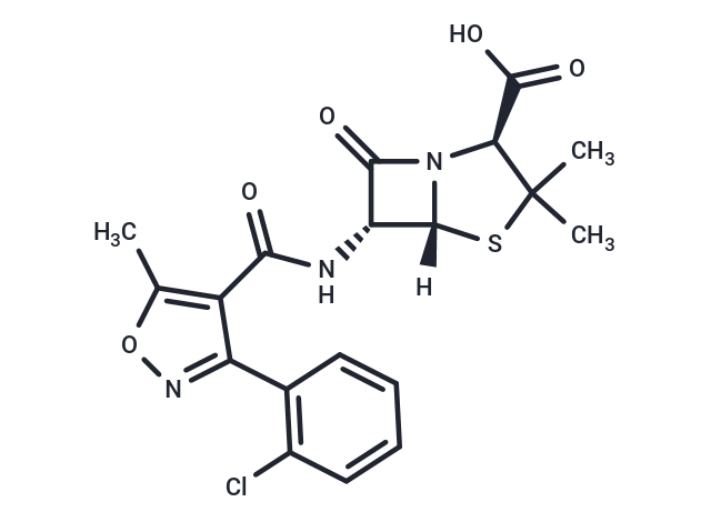 Cloxacillin