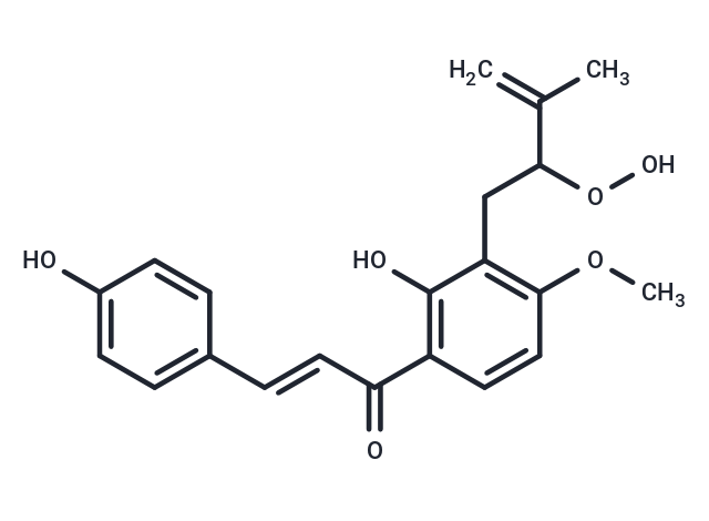 XA-E