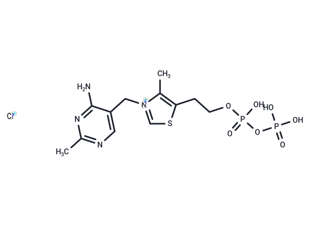 Thiamine pyrophosphate chloride