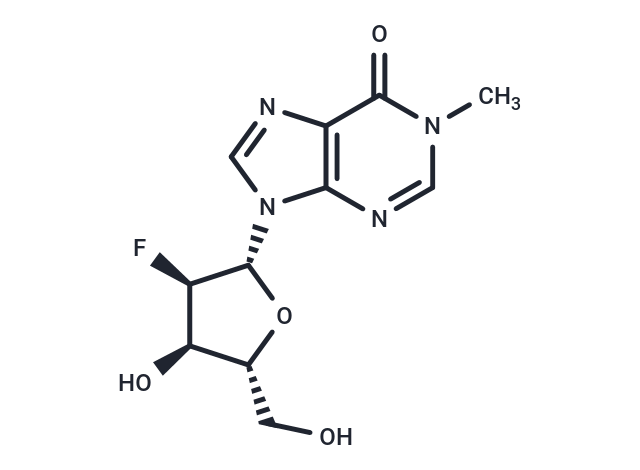 2’-Deoxy-2’-fluoro-N1-methyl   inosine