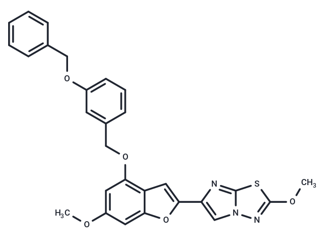 UDM-001651