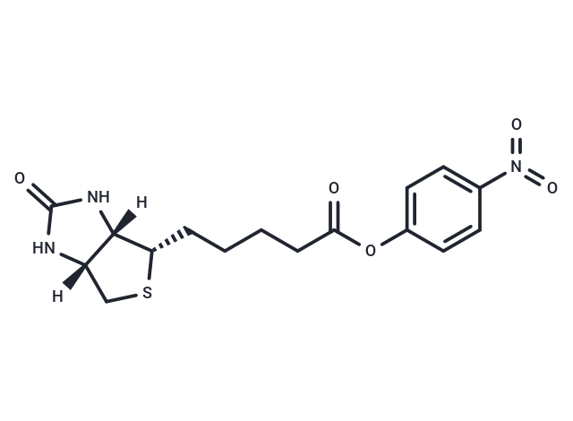 (+)-Biotin-ONP