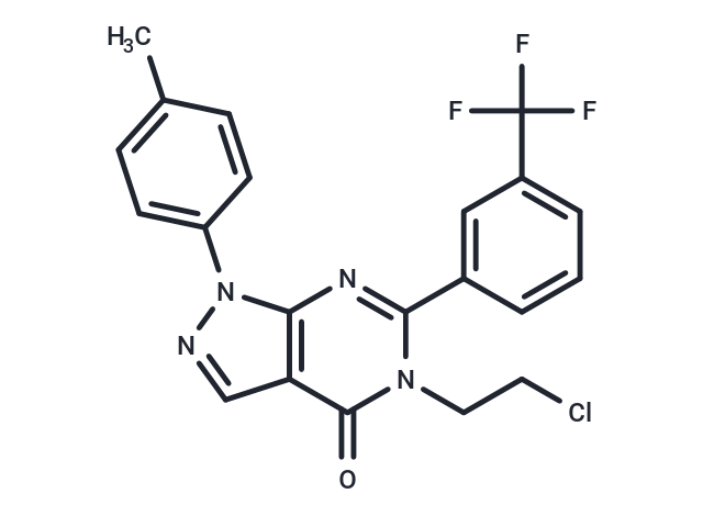 Antifungal agent 13