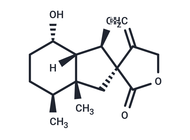 Bakkenolide III