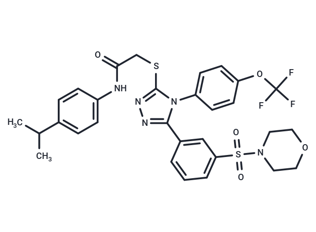 T0510-3657