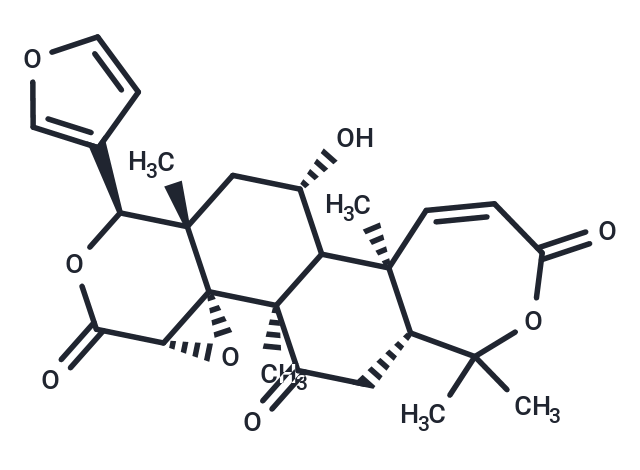 Phalaenopsine Is