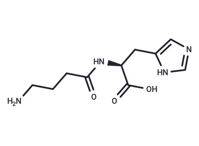 Homocarnosine