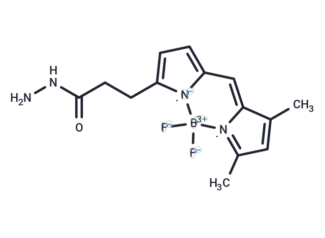 BODIPY FL hydrazide