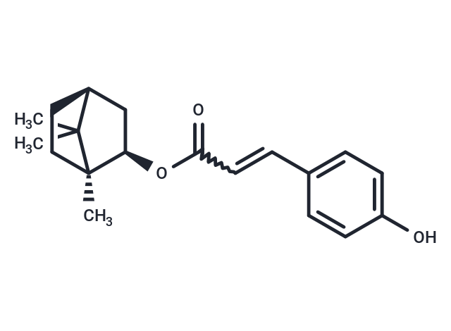 Biondinin C