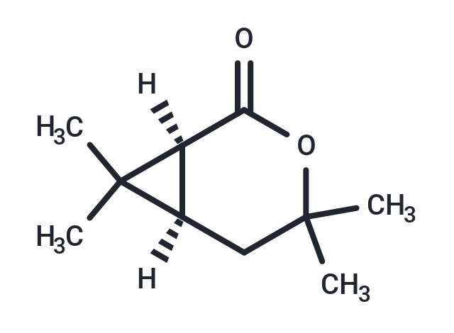 (1S)-Chrysanthemolactone