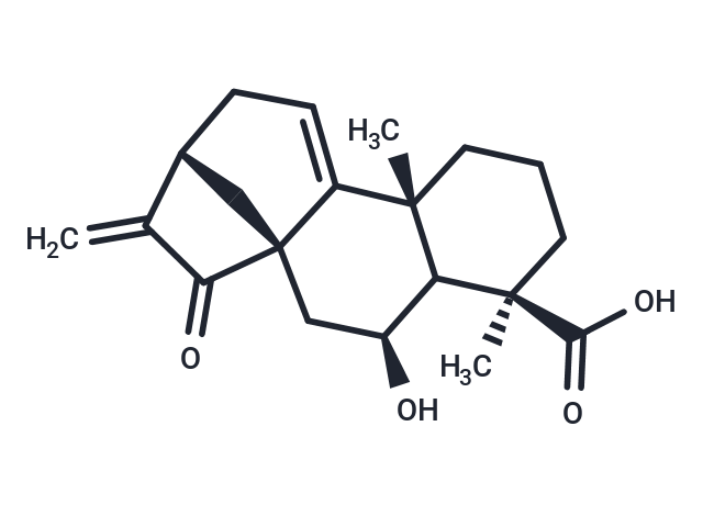 Pterisolic acid B