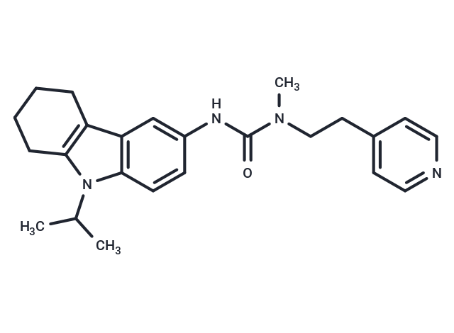 FMS586