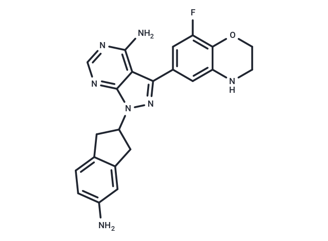 MDVN1003