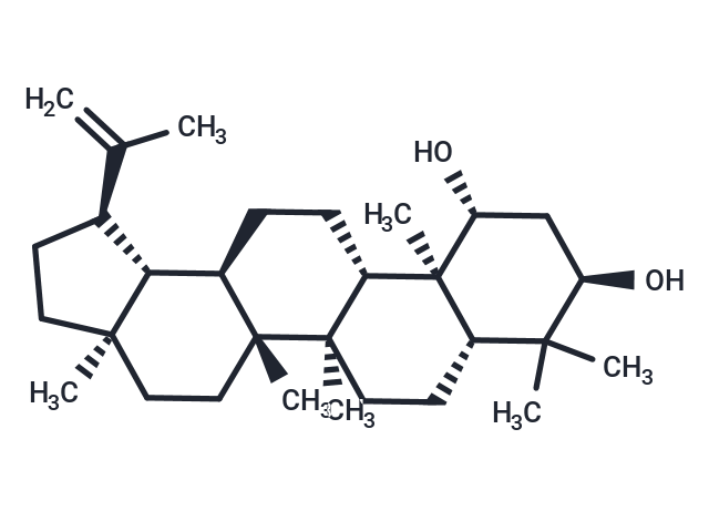 Glochidiol