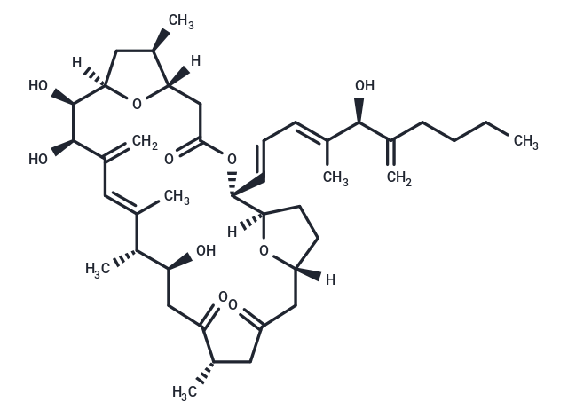 Amphidinolide C