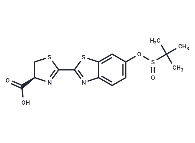 SEluc-2