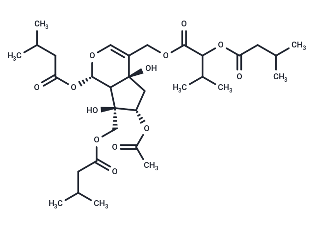 Jatamanvaltrate B