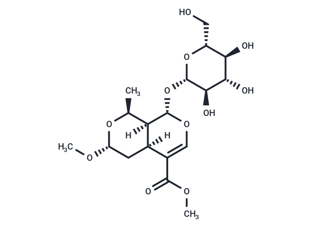 7-O-Methylmorroniside