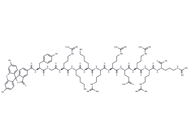 TAT (47-57), FAM-labeled