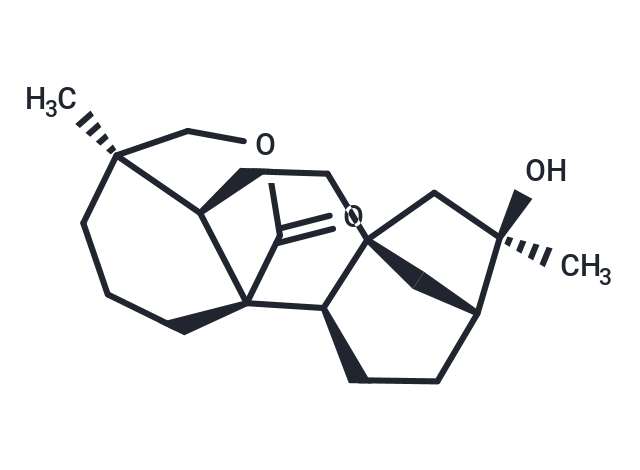 Neotripterifordin